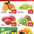 lidl 10 a 16 maio digital